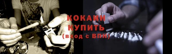 прущие грибы Белоозёрский