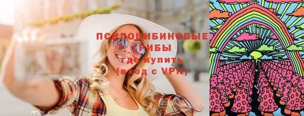 apvp Богородск
