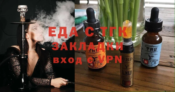 индика Богородицк