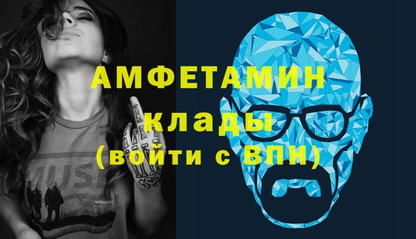 индика Богородицк