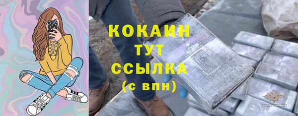 прущие грибы Белоозёрский
