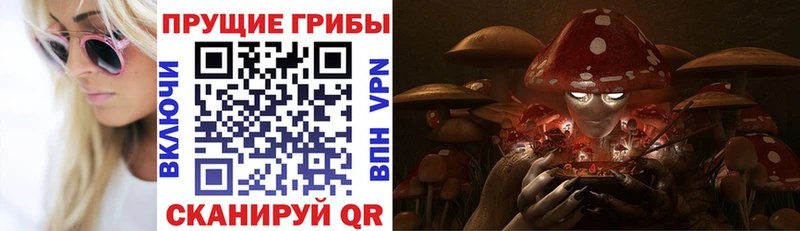 Купить  Невель  Галлюциногенные грибы MAGIC MUSHROOMS 